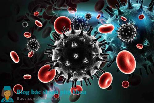 Virus HIV lây qua đường tình dục