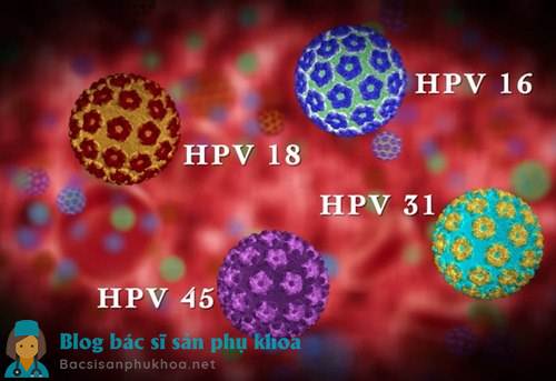 Hình ảnh một số loại virus HPV lây qua đường tình dục
