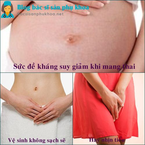 Nguyên nhân viêm niệu đạo ở phụ nữ mang thai